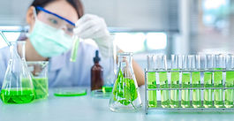 Principles of Inheritance and Variation