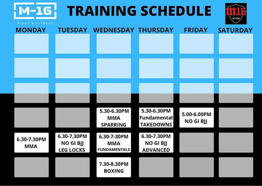 Training Schedule for M16 Room 2