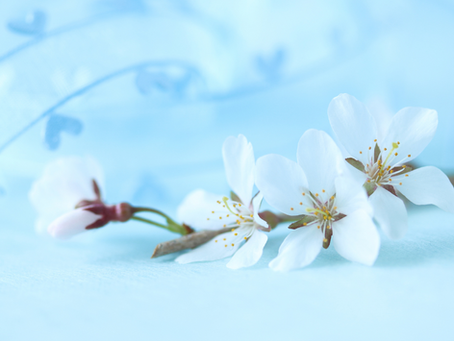 Why I Give: Donor Stories of Faith, Gratitude, and Generosity