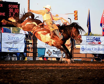 Chirrikawa bucking with Dakota Rodeo