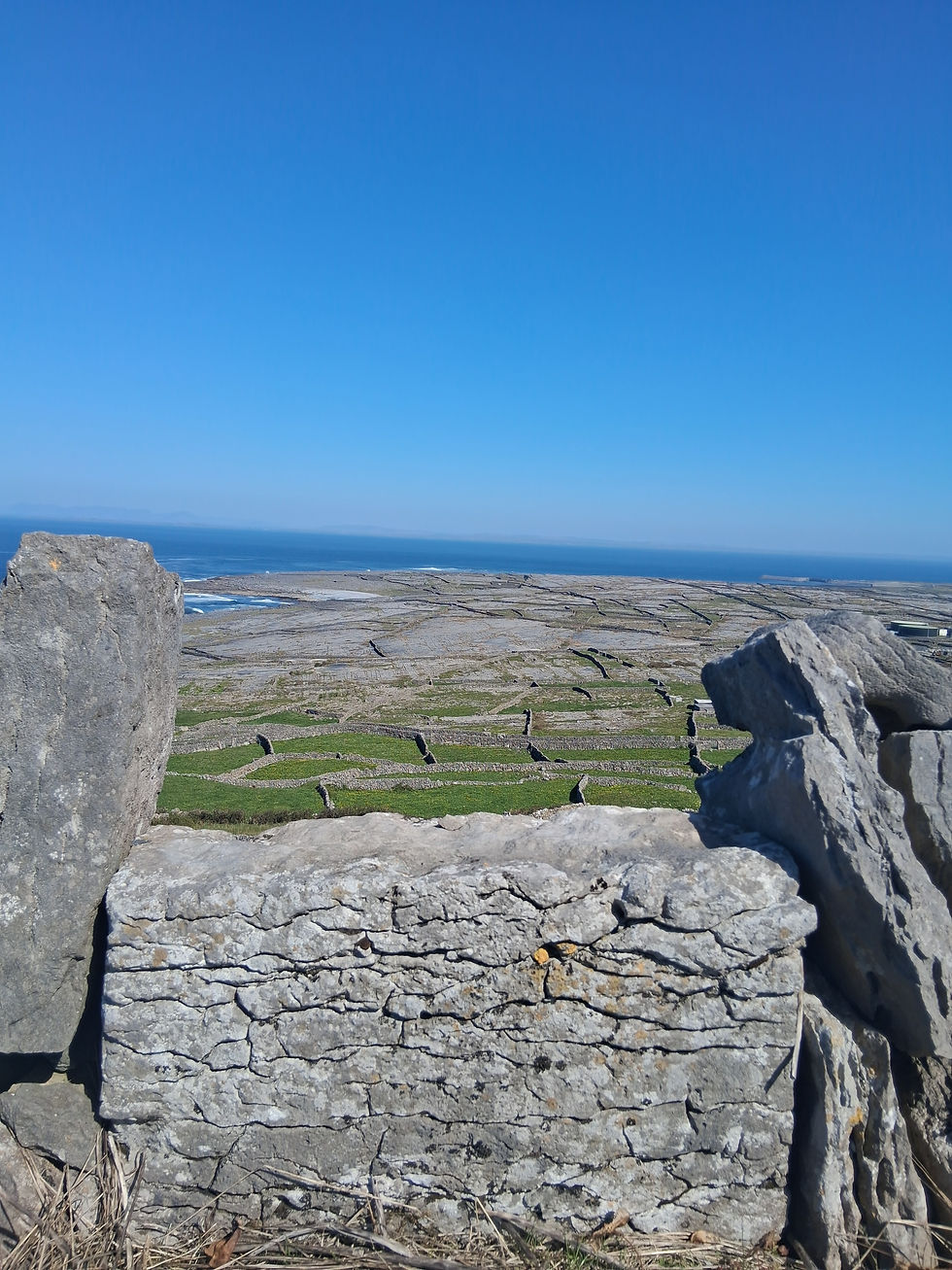 Radharc Inis Meáin 1.jpg