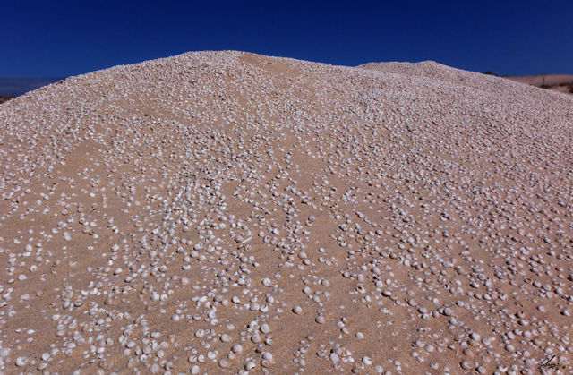 fuerte 05-14 (30).jpg