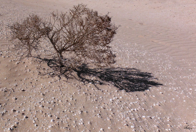 fuerte 05-14 (29).jpg