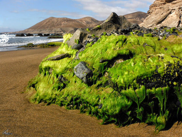 fuerte 05-14 (46).jpg