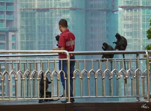 kuala lumpur (67).JPG