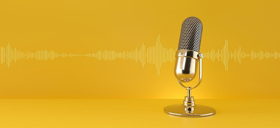 Cours virtuel n°1 : 48 mins audio