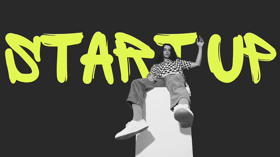 small startup guide