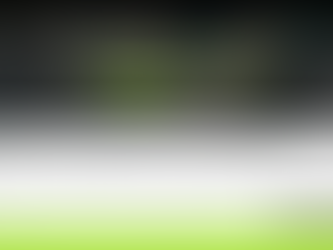 A Newsletter SignUp Page: Where Relationships Begin