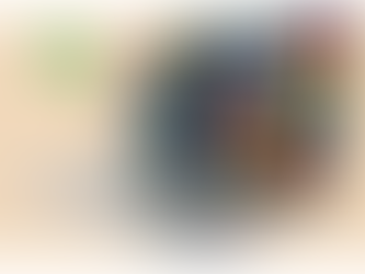 Setup Accounting Software