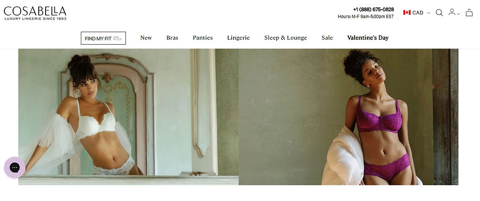 Niagara boudoir photographer
Niagara Falls boudoir photographer
Niagara boudoir photography
St. Catharines boudoir photographer
Niagara Region boudoir studio
Ontario boudoir photographer
Boudoir photography Niagara
Niagara intimate portraits
Niagara luxury boudoir
Niagara empowerment photography
Niagara Falls intimate portraits
St. Catharines boudoir studio Boudoir session Niagara
Bridal boudoir Niagara
Niagara lifestyle boudoir
Niagara glamour photography
Best boudoir photographer Niagara
Niagara boudoir experience
Niagara boudoir packages
Niagara boudoir studio near me