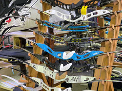 Bogensport Moser