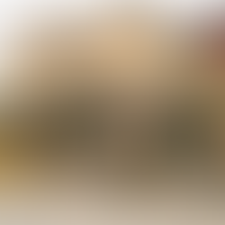 Thank You, Mill Creek: Reflecting on Another Great Year