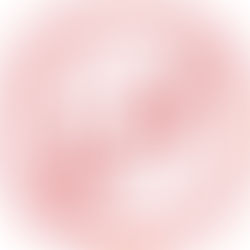 Nuestros alumnos con Spínola Solidaria