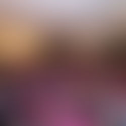 Reflexiones del Festival de Marcelo 2023