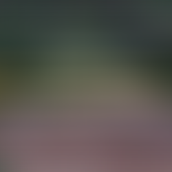 Jornada Estratégica en Toledo