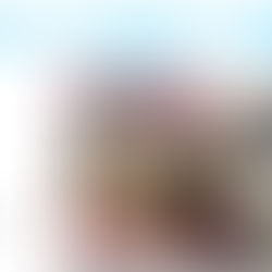 Newsletter Amco Debate League 2019