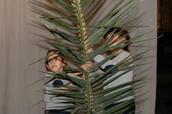 CORO，_PREMIOS_Y_COPA_DE_PROFESORES-13