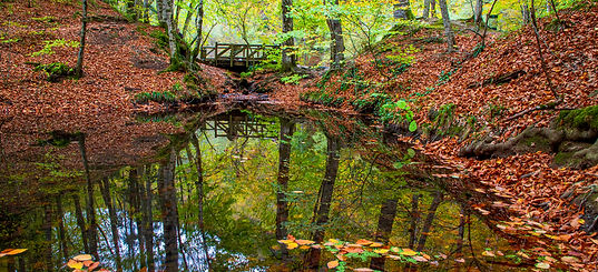 Samiya Water shed workshop