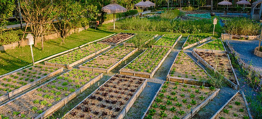 Samiya Community Garden Workshop