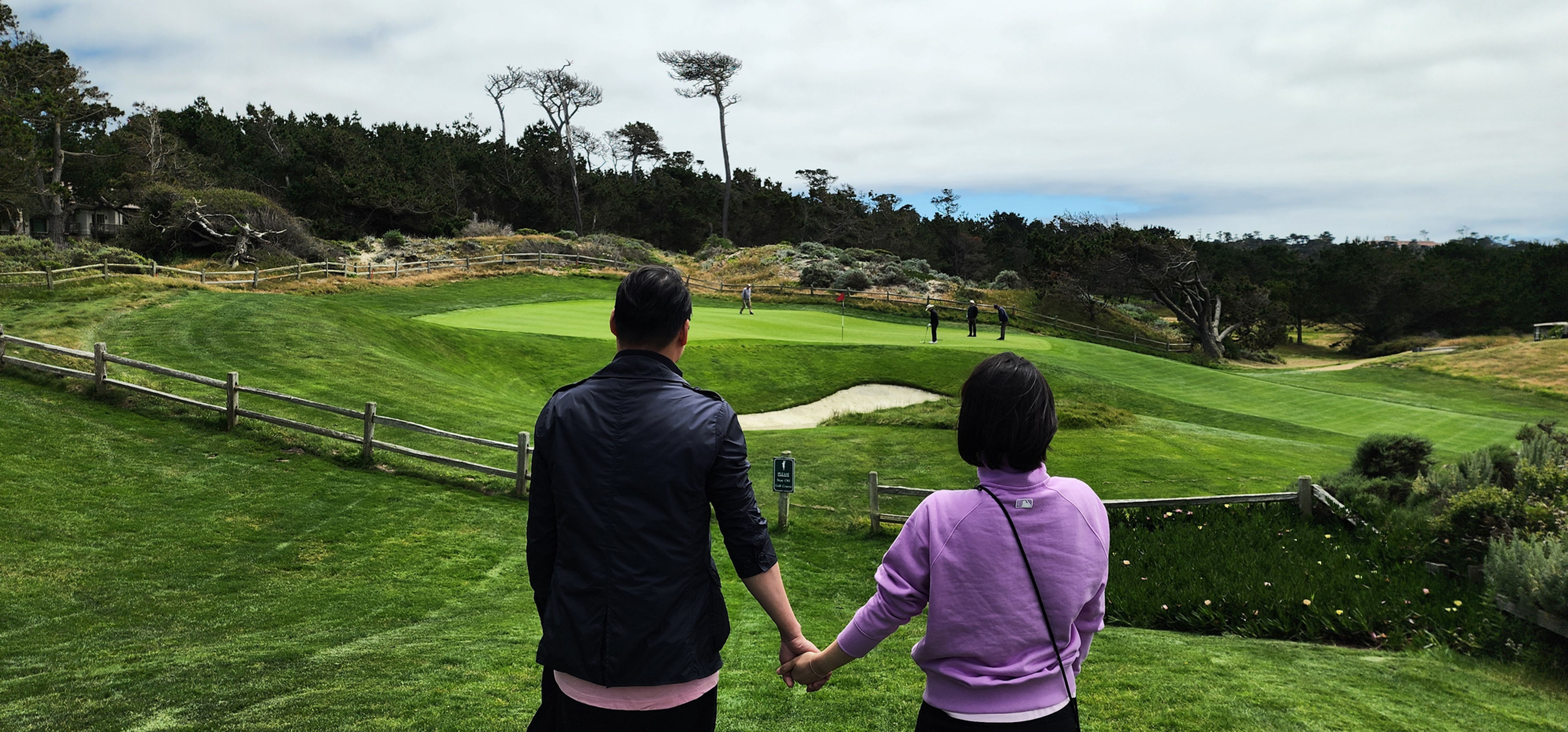 San Francisco Napa Valley Day Tour