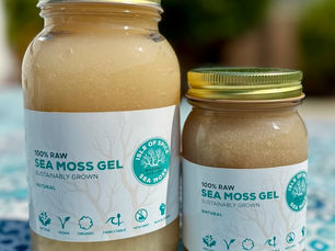 Two jars of Isle of Spice Sea Moss Gel in natural light, showcasing slight color variations in small-batch, handmade gel.
