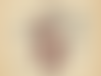 Sea Moss & Gut Health | Natural Prebiotic for Digestion