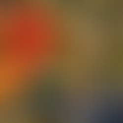 Coletivos literários feministas paranaenses fortalecem economia criativa com seis antologias publicadas