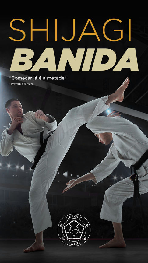 Modelo Story 2 - Hapkido Botto