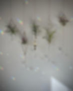sun catchers