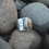 Thumbnail: Royston Bird Ring • 8 