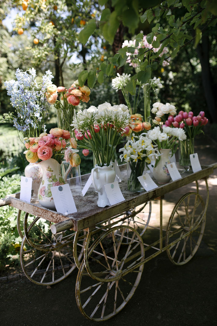 jpg_alejandra day 3-231652339648622.jpg