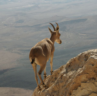 Российское посольство в Иране призвало туристов отказаться от фото- и видеосъёмки