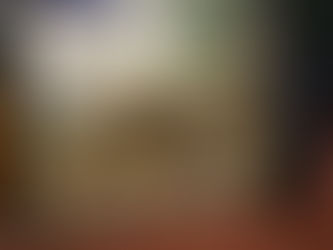 Help to Move into the Computer World of Organization