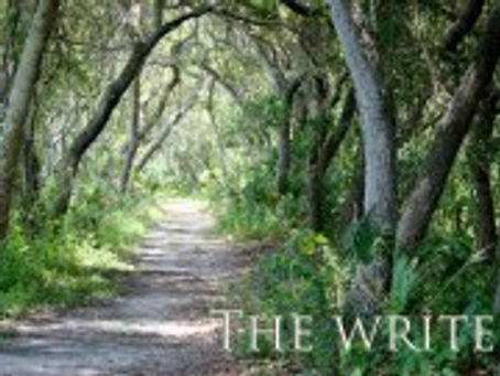 My Writing Website is Up and Running!