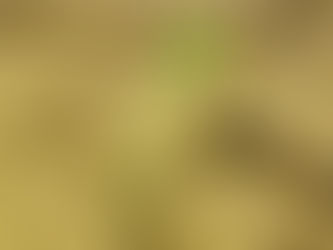 Flash Fiction: A Fresh Start