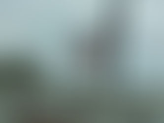 Quiet Here after a Trip to “Stinky’s”