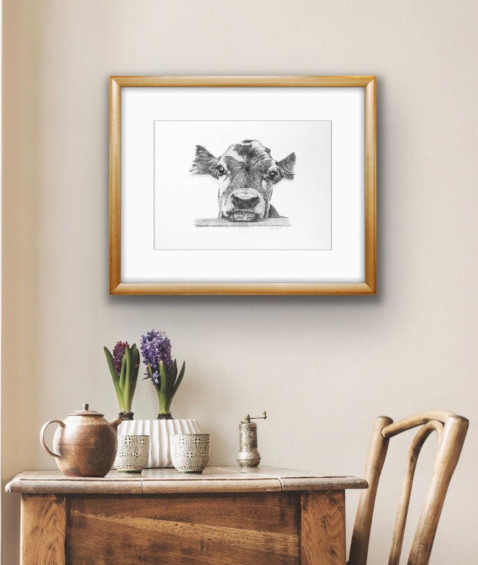 Thumbnail: 'Here's Looking at You' cow fine art print, A4 and A3