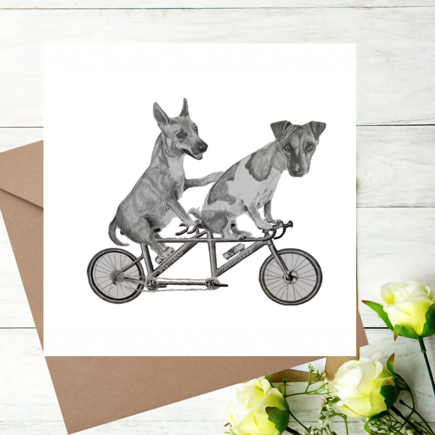 Dogs on a bike greeting card