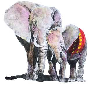 Elephants%20watercolour_edited.png