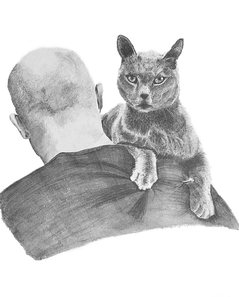 Pet portrait, cat portrait, pencil portrait, Sevenoaks, Kent