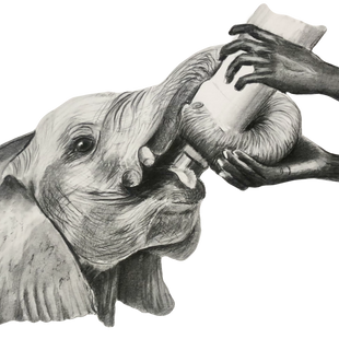 Elelephant%2520with%2520milk_edited_edit