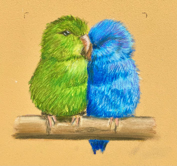 parrotlets.jpg