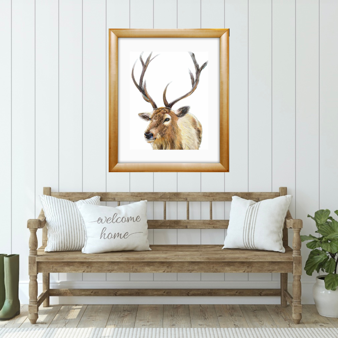 A Magnificent Stag fine art print, A3