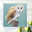 Thumbnail: Barn Owl art greeting card