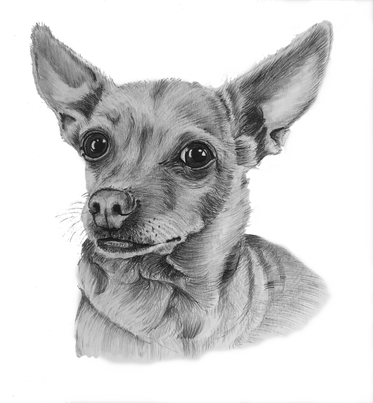 Lucy Jen Laster_edited.png