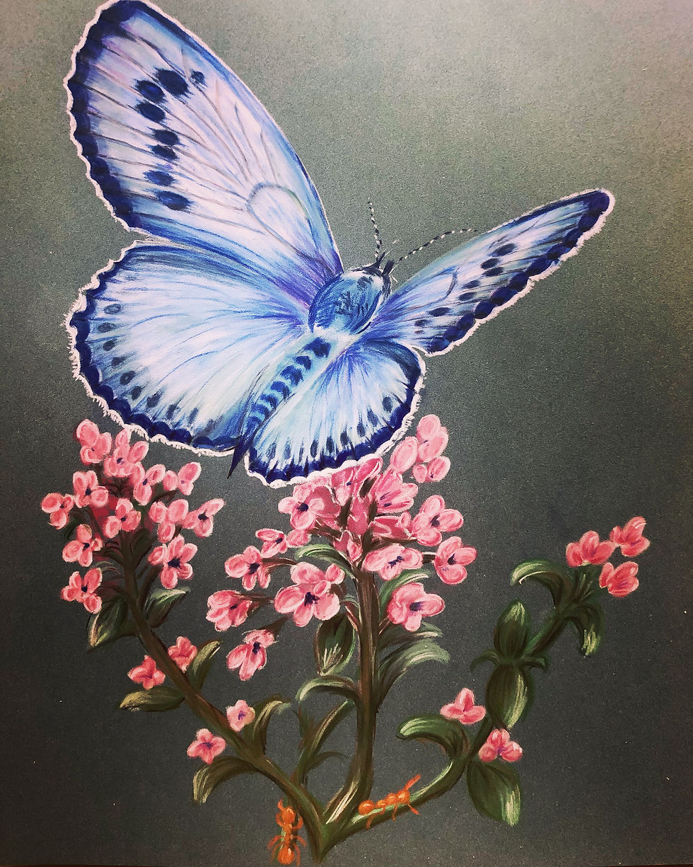 Thumbnail: Butterflies personalised luxury note cards