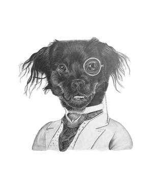 Pet caricature portrait, dog portrait, pencil portrait, Sevenoaks, Kent