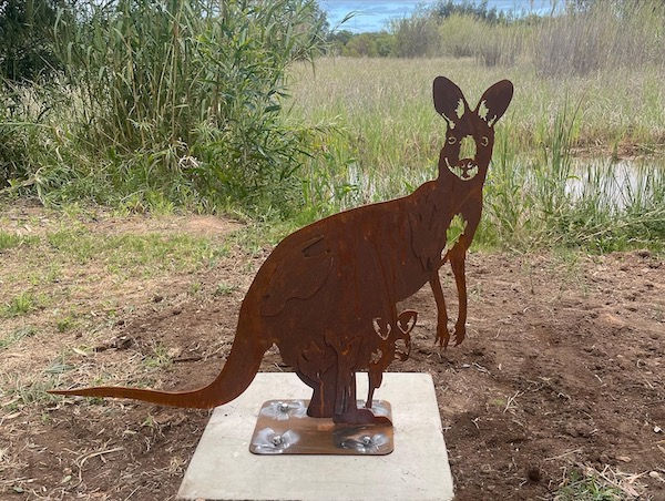 Kangaroo with Joey