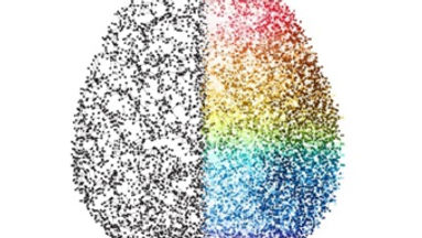 Boas Práticas com Estudantes Neurodiversos: Orientações para Docentes do Ensino Superior.