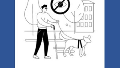 Boas práticas com a pessoa com deficiência visual.